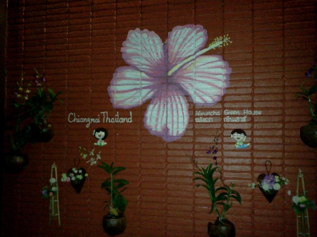 Naruncha Green House Чиангмай Экстерьер фото